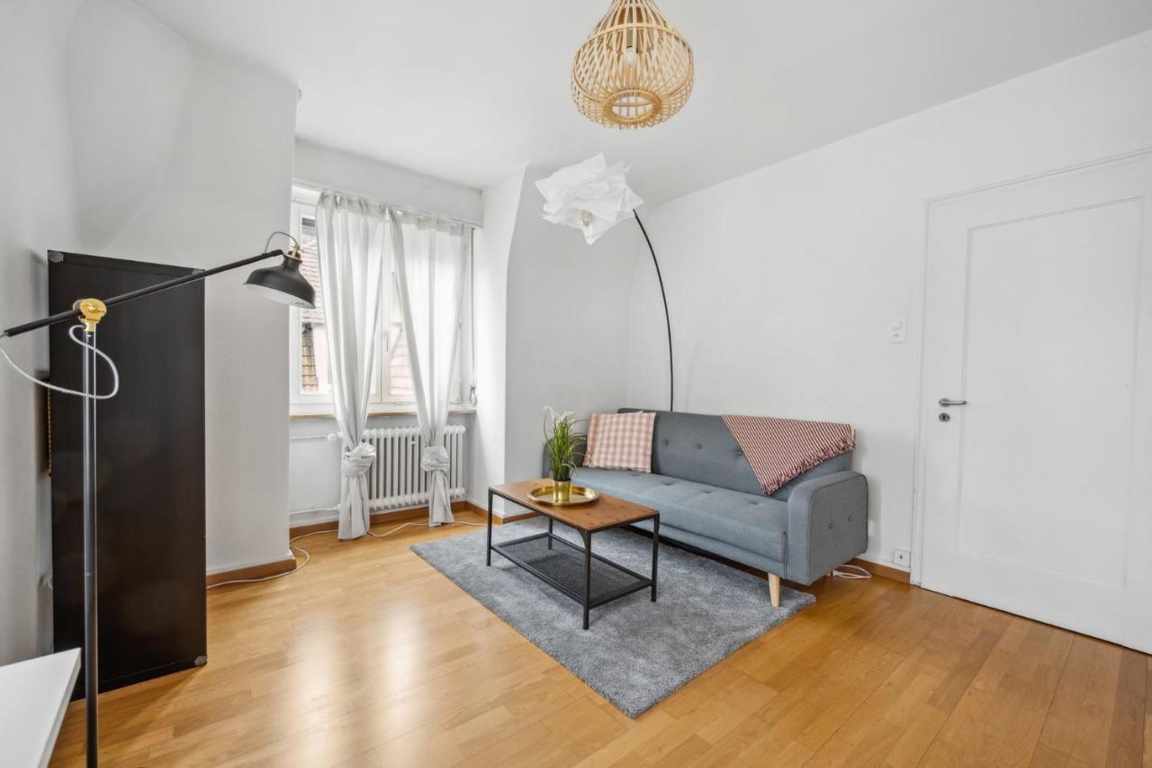 Cozy Apartment In The Heard Of Zurich Sonnegg Exteriör bild